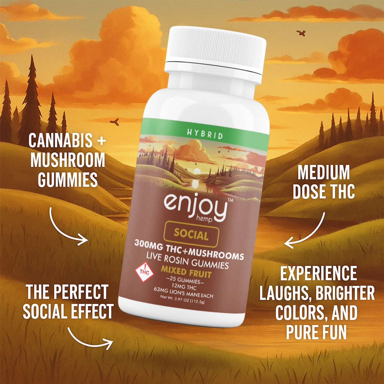 Enjoy Hemp | Hybrid | Social | 25ct. 12mg per piece Delta 9 THC + 63mg Lion's Mane Live Rosin Gummies | 300mg per package | Mixed Fruit