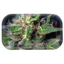 Buds Metal Rolling Trays | Medium (10.5 in x 6.25 in x 1 in)